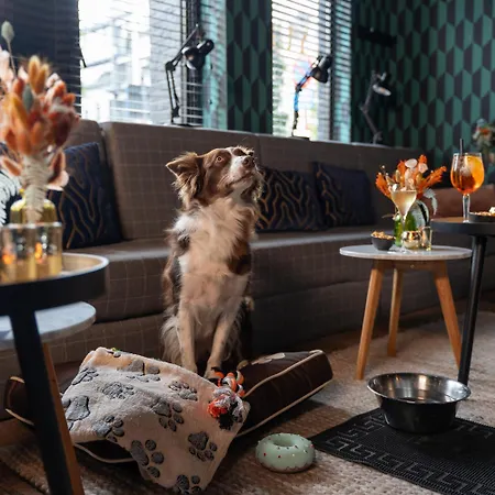 Ibis Styles Centre Hotel Hasselt